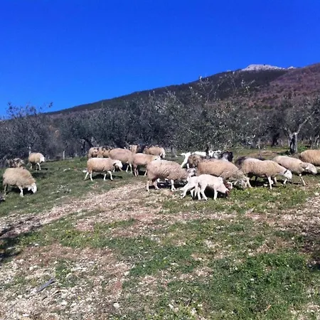 With Small Swimming Pool Private Terrace Garden And Sheep Passignano sul Trasimeno